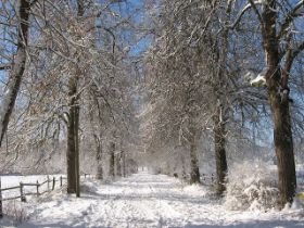 Winter-2010-1 (2).JPG