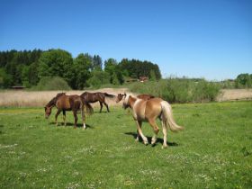 k-IMG_1304.JPG